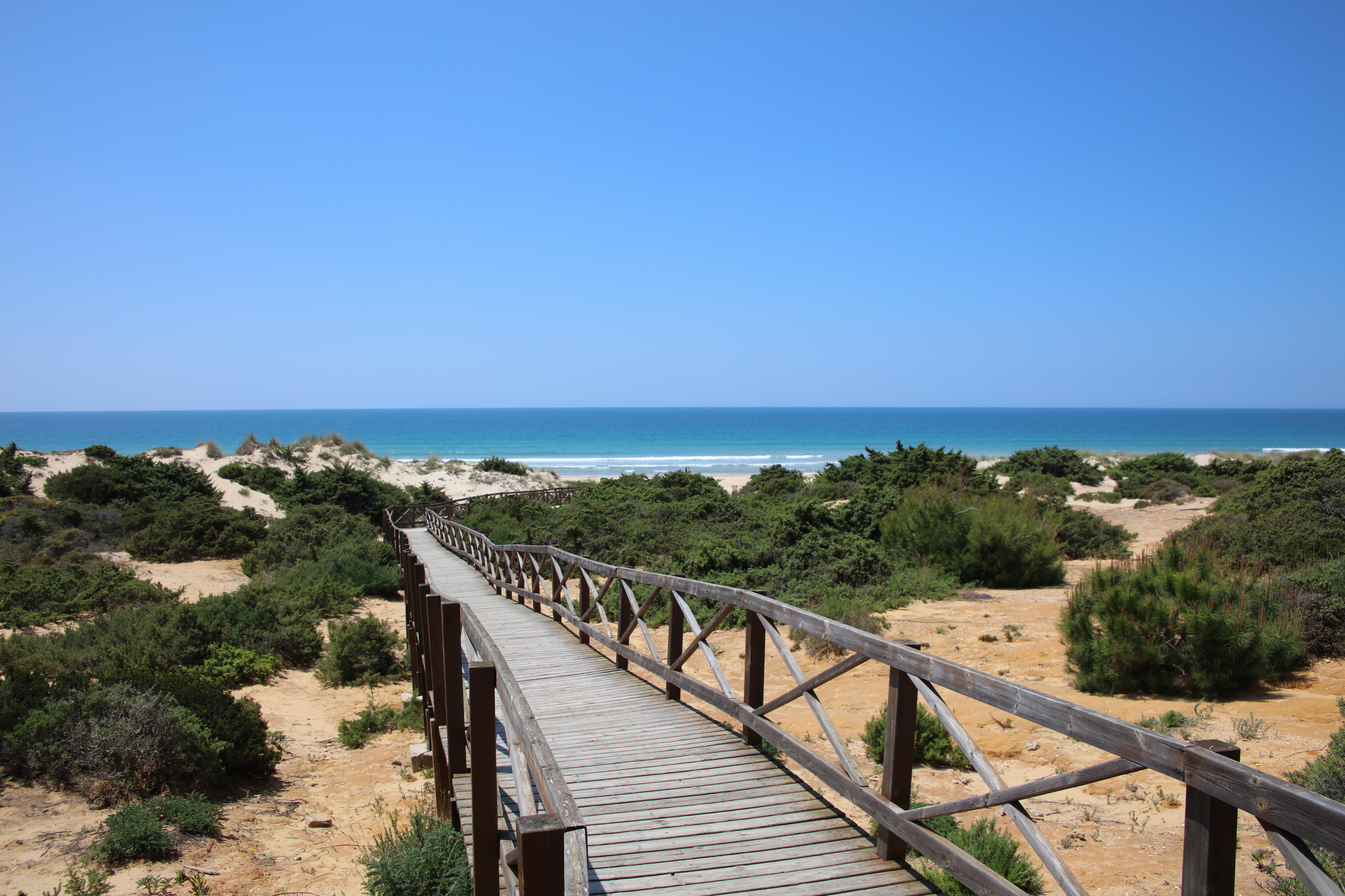 Iberostar Selection Andalucia Playa Hotell Chiclana de la Frontera Exteriör bild The dunes of the beach of Sabinillas